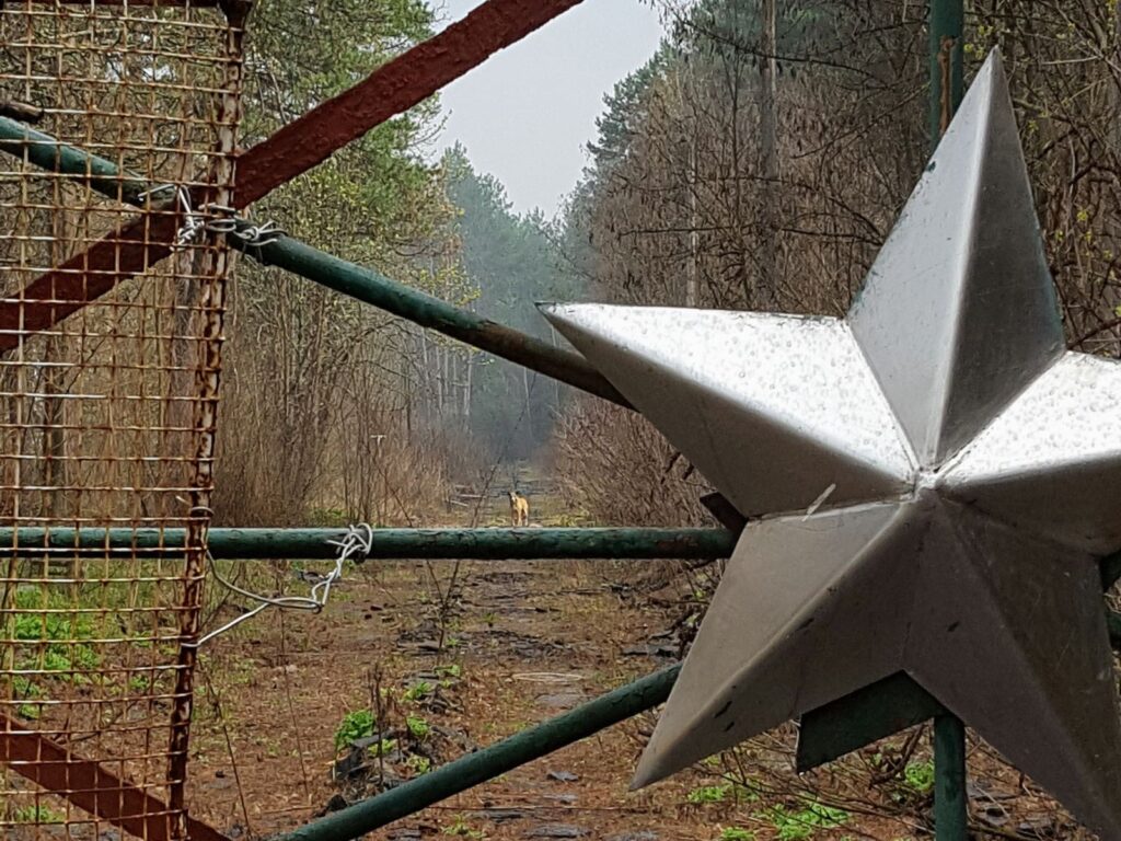 Pripyat Amusement Park 