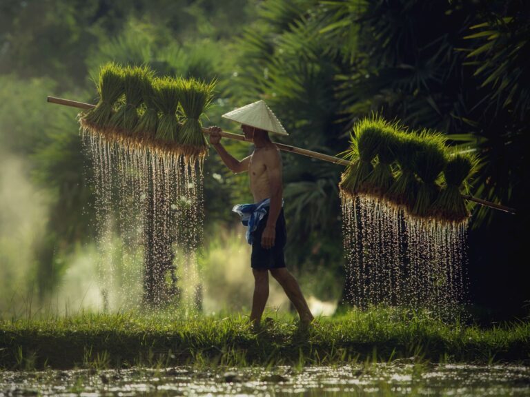 10 Of The Best Asian Countries To Visit