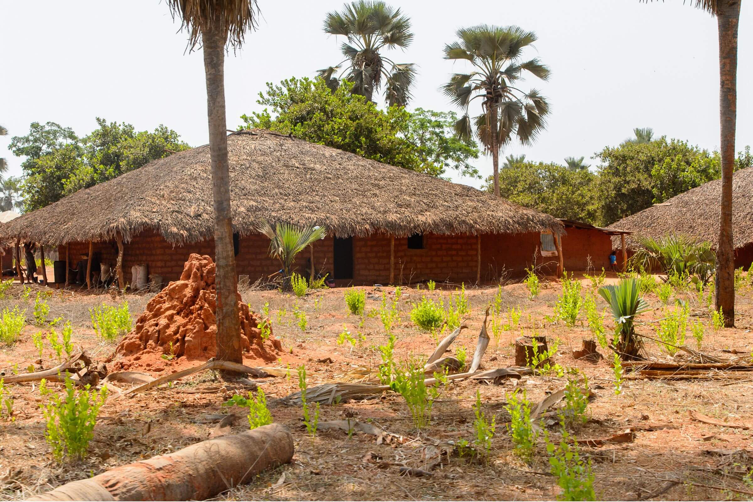 Guinea-Bissau - 20 Least Visited Countries In The World