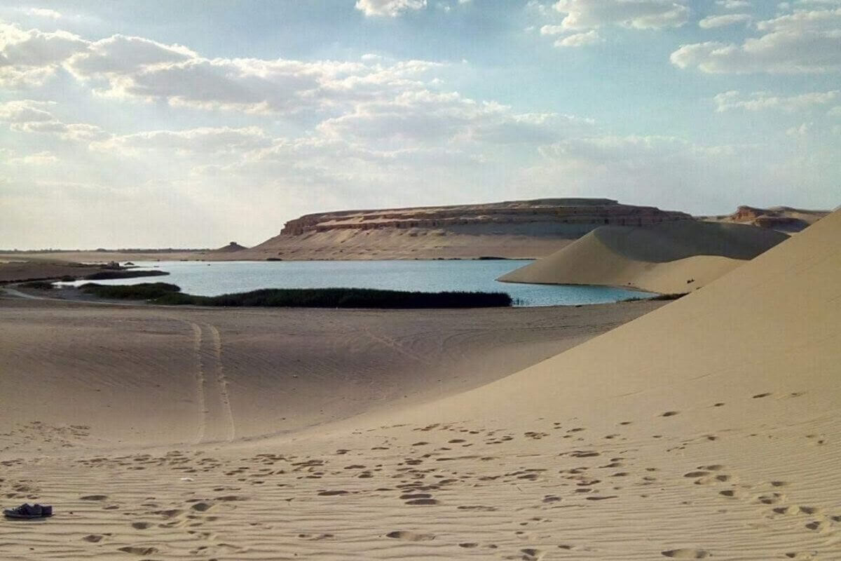 Desert tour Egypt