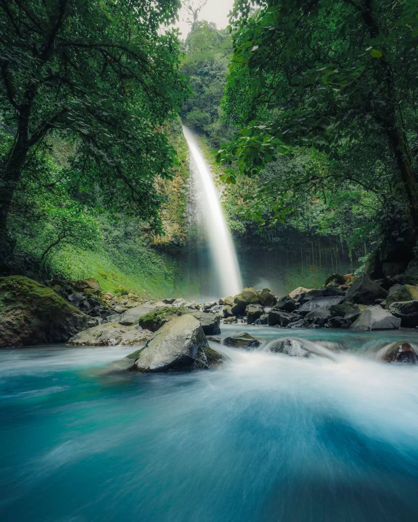 A stunning waterfall cascades amidst vibrant greenery, creating serene rapids below.