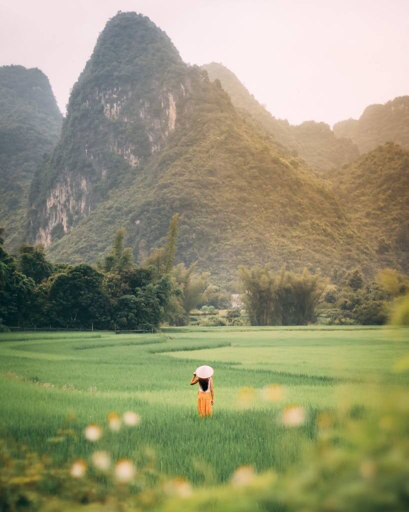 Explore the tranquility of Vietnamese rice fields with majestic mountain views and serene countryside vibes.