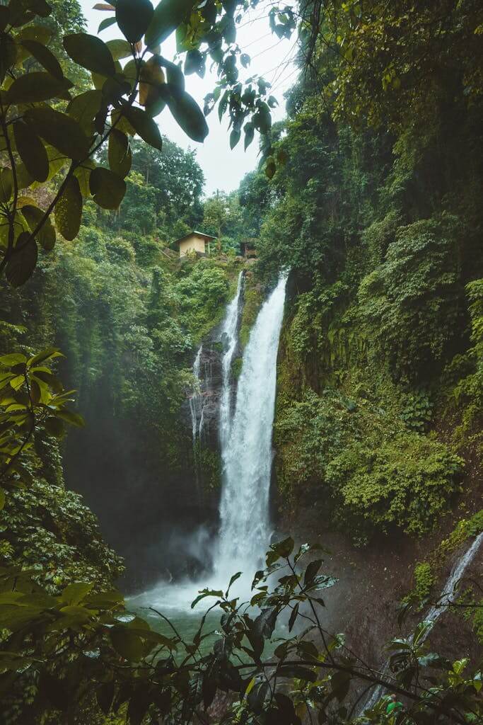 Stunning waterfall in a lush tropical rainforest in Sukasada, Bali. Perfect for nature lovers.